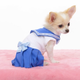 Illustration for article titled Small Dogs Cosplaying as emSailor Moon/em Characters